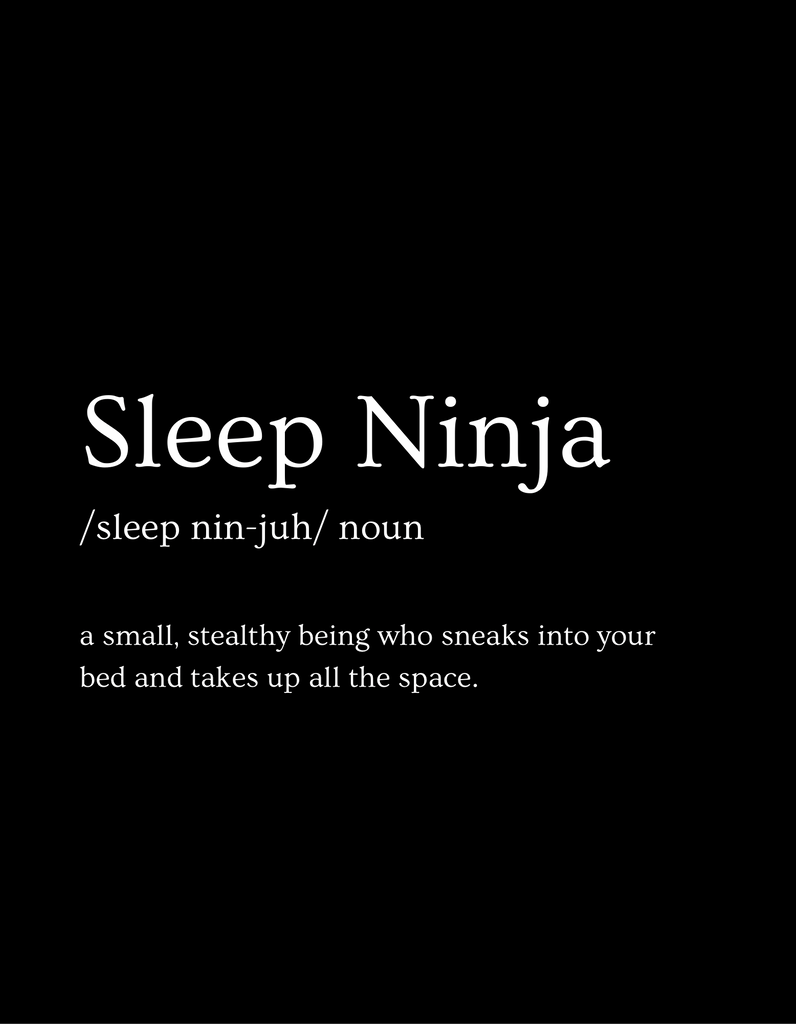 The “Sleep Ninja” Tee - Gigi & Jade Kids Co.